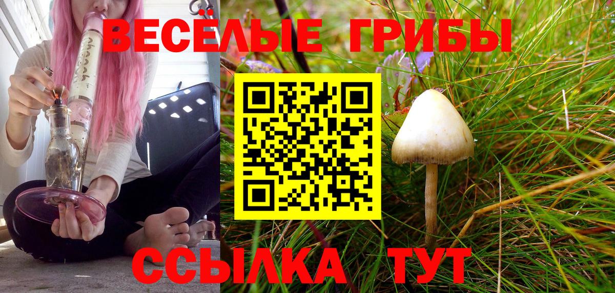 Бошки Шишки Великий Новгород